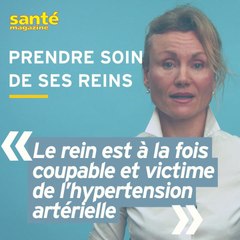 Maladies rénales et hypertension : quels sont les risques ?