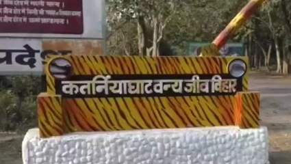 बहराइच: जानिए आखिर क्यों कल से कतर्नियाघाट में प्रवेश होगा बंद...पर्यटक होंगे परेशान