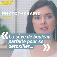 Quelles plantes marchent vraiment en détox ?