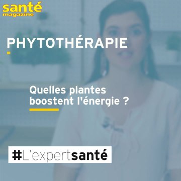 Quelles plantes boostent l'énergie ?
