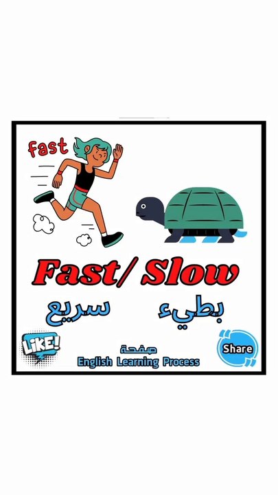 مفردات مركبة مهمة للتعلم اللغة الإنجليزية للمبتدئين مع الترجمة والصور.
