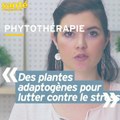 Quelles sont nos alliées phyto anti-stress ?