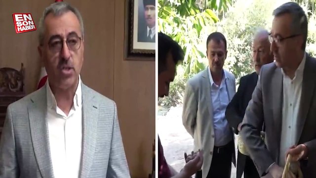 Kahramanmaraş Çağlayancerit cevizi AB'den coğrafi işaret tescili aldı