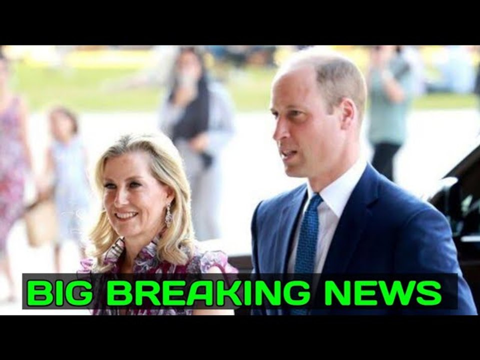 Royals in Shocked! Prince William & Sophie Pay a Moving Homage to a Wildlife Ranger Who Was Brutally