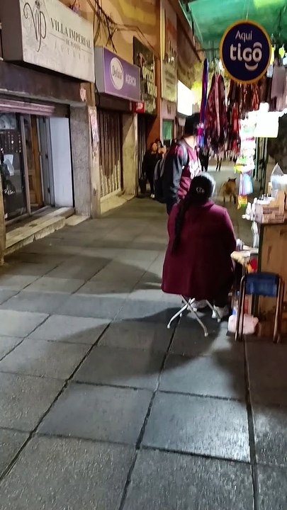 Happy Stray Plays With Plastic Bottle