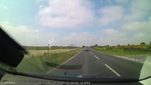 Flock of Birds Fly Straight Into Car