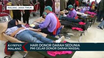 Peringatan Hari Donor Darah Sedunia, PMI Kota Malang Gelar Donor Darah Massal