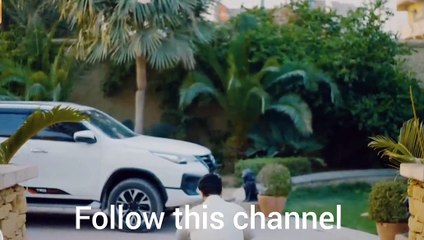 Mujhe Pyaar Hua Tha Episode 25