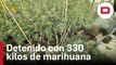 La Guardia Civil detiene a una persona por tráfico de drogas con 330 kilos de marihuana en Chinchilla