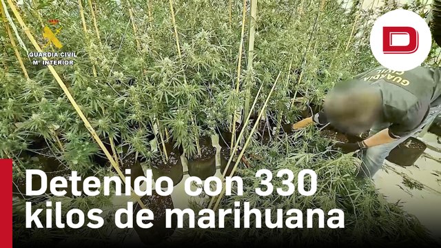 La Guardia Civil detiene a una persona por tráfico de drogas con 330 kilos de marihuana en Chinchilla