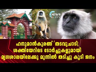 തിരുവനന്തപുരം മൃഗശാലയിൽ നിന്ന് ഹനുമാൻകുരങ്ങ് ഒളിച്ചോടി