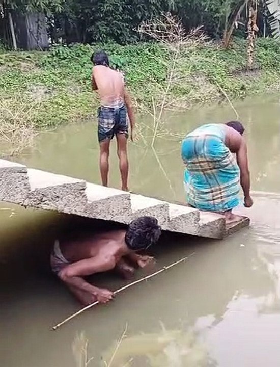 Top 2023 video