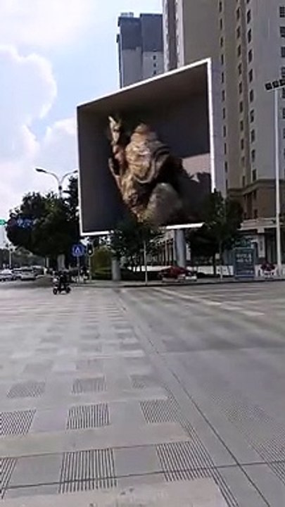 Never Before Seen 3D Billboard in China