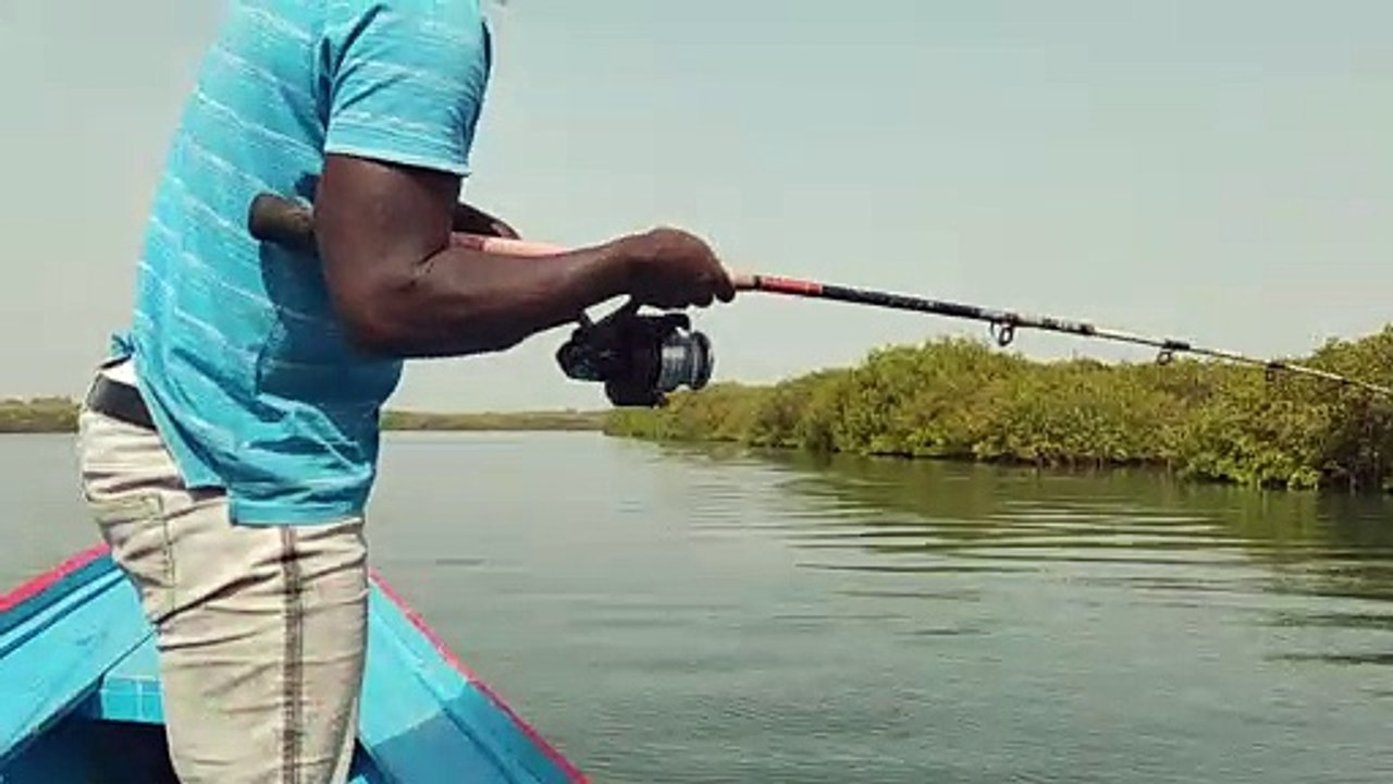 La pêche de Sophia