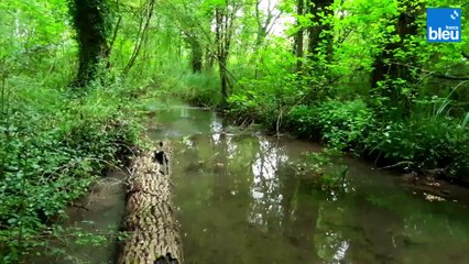 Au fil de l'eau  - La pêche aux écrevisses