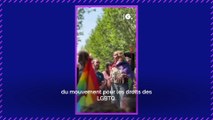 D'où vient le drapeau arc-en-ciel, symbole des LGBTQIA  ?