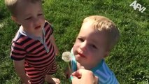 Twins Are Twice As Fun!  Cutest Funny Twin Moments