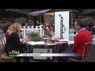 Le choix de la couleur dans la déco : avec les conseils de Maison Créative et de Little Green