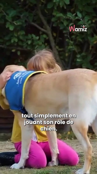 Les chiens nous prouvent encore qu’ils sont incroyables !