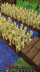 Ce monde minecraft va te rendre nostalgique 