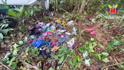 عمليات بحث حثيثة في كولومبيا عن كلب ضائع ساهم في العثور على الأطفال الأربعة