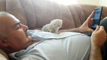 When there are no Grandchildren but there are GrandKittens  _  _ Funny video