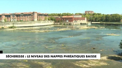 Sécheresse : le niveau des nappes phréatiques baisse