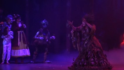 Emilie Jolie Extraits Generale Presse