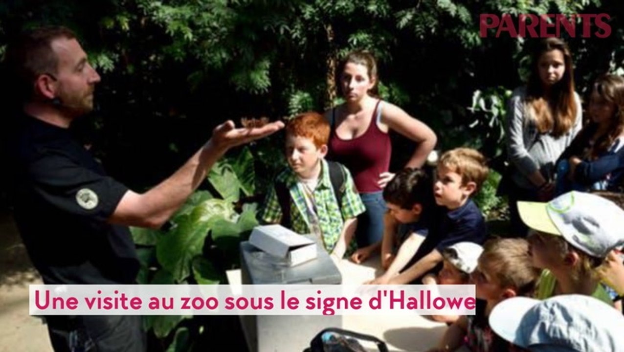 15 activités pour les vacances de la Toussaint !