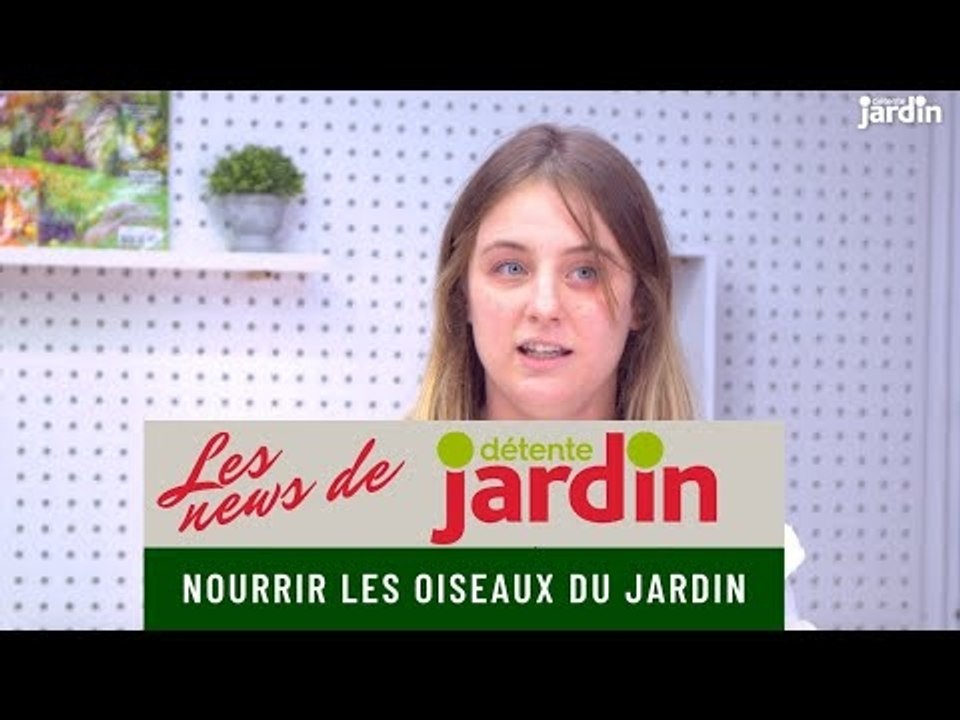 Nourrir les oiseaux en hiver