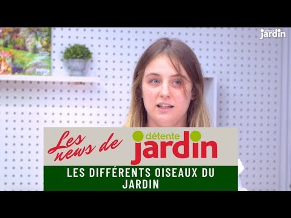 Les différents oiseaux du jardin