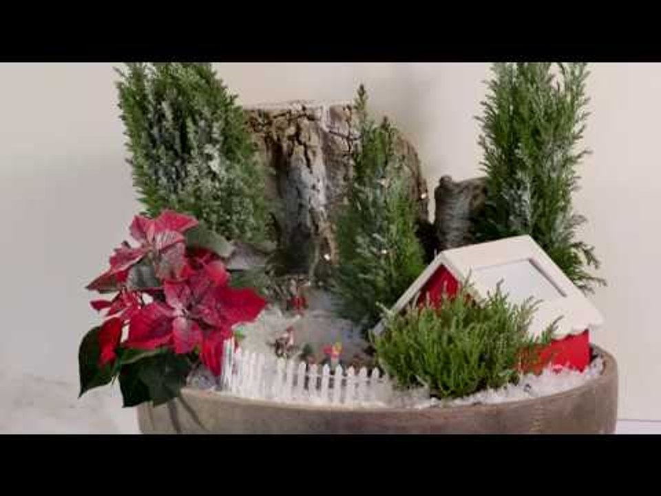 Créer un mini-jardin ou jardin de fées
