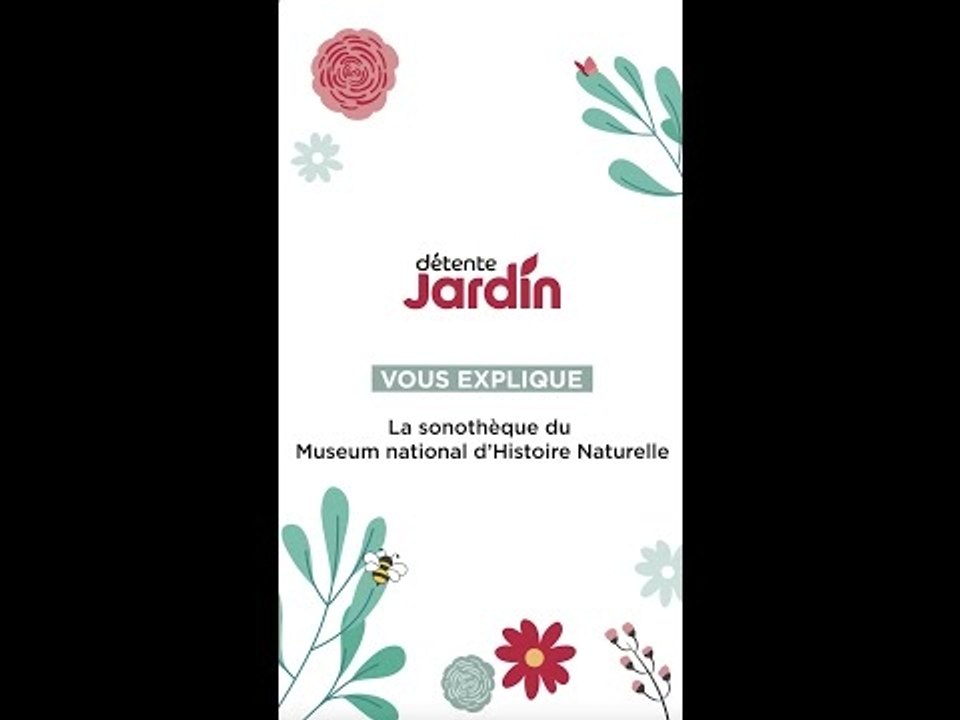 Découvrez la sonothèque du Museum national d'Histoire Naturelle