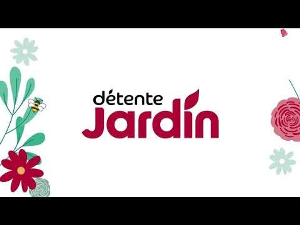 Une décoration de porte pour un Noël végétal
