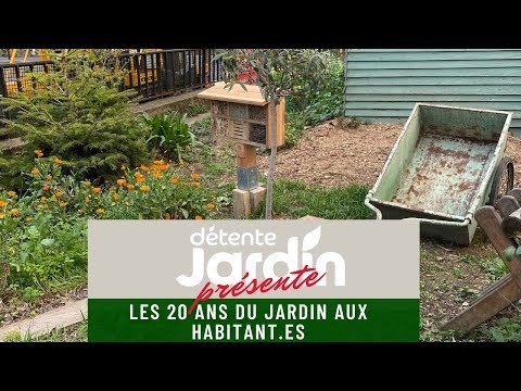 C'est les 20 ans du jardins aux habitant.es au Palais de Tokyo à Paris