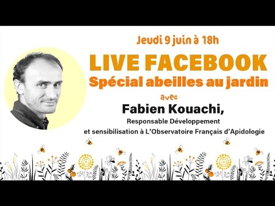 REPLAY LIVE FACEBOOK SPÉCIAL ABEILLES