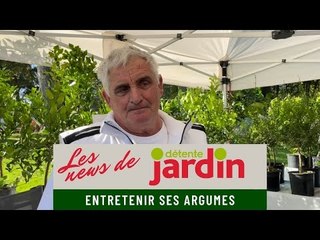 Comment entretenir ses agrumes ?