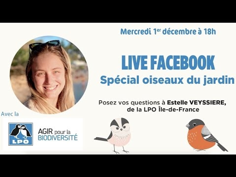 Replay live Facebook ! Spécial les oiseaux du jardin