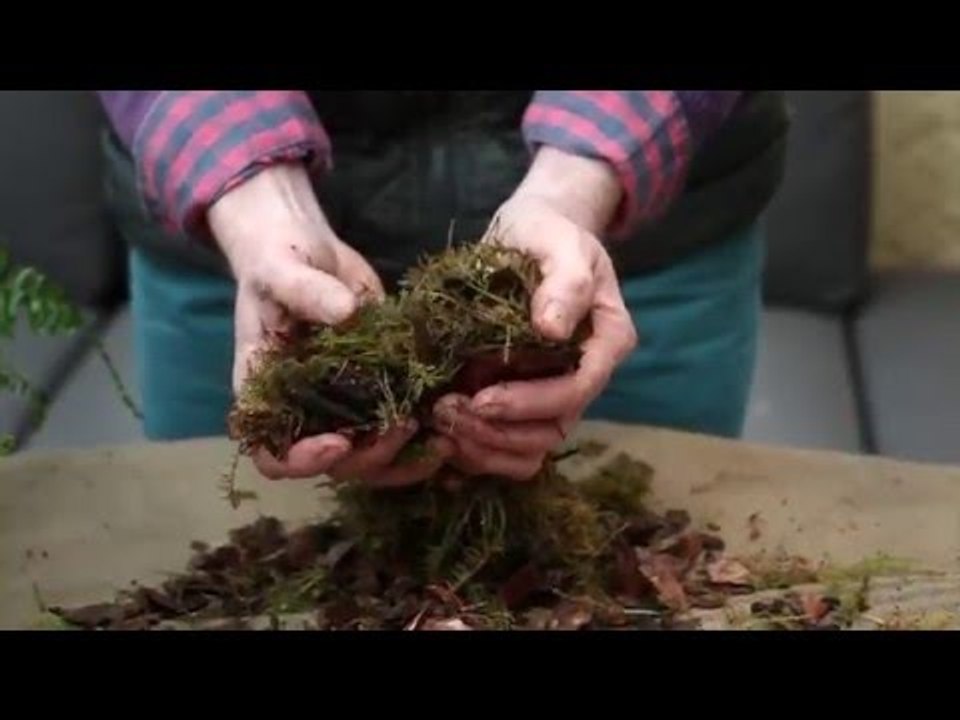 Préparer son terreau pour orchidée