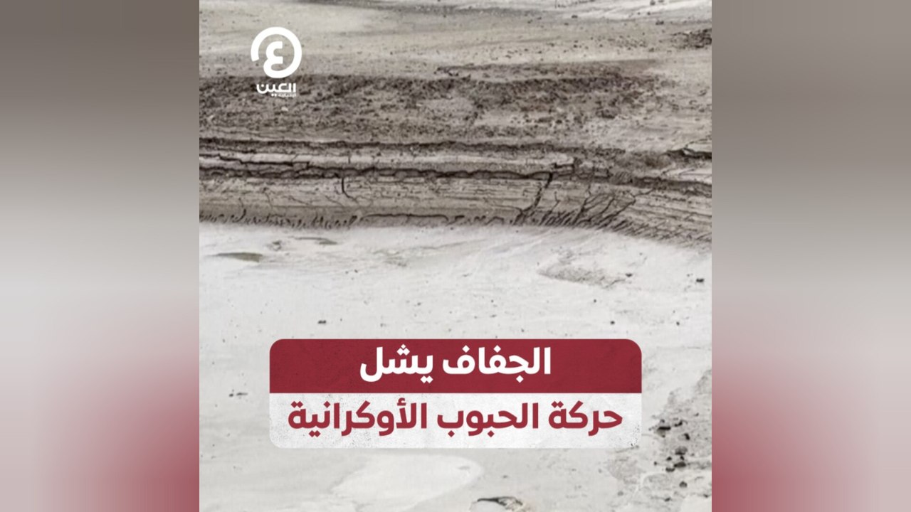 الجفاف يشل حركة الحبوب الأوكرانية
