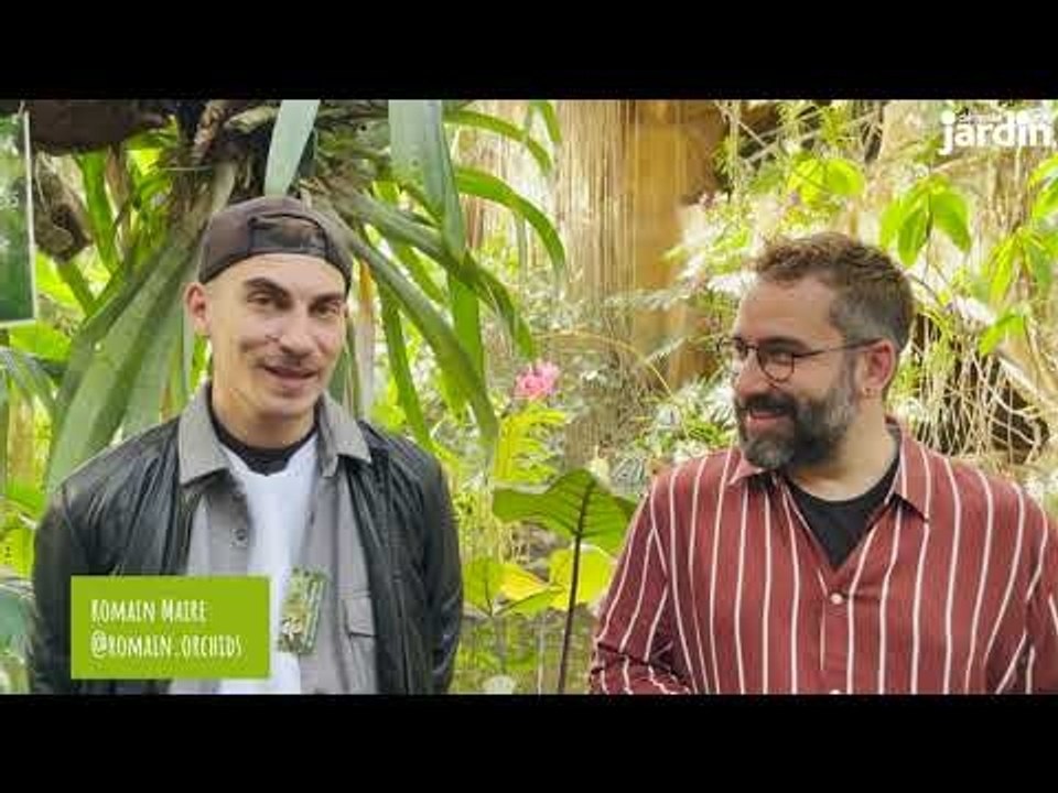 L'exposition Mille et une orchidées dans les grandes serres du jardin des plantes.