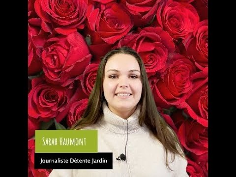 Saint-Valentin 2022 : offrez des fleurs françaises !