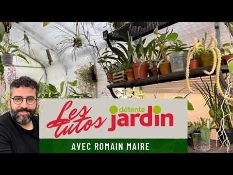 Les tutos Détente jardin ! Spécial orchidées : comment polliniser mon orchidée ?