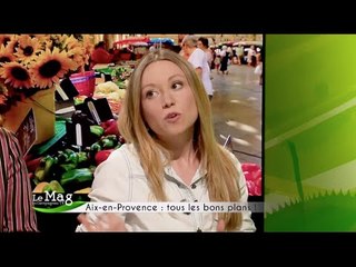 Une journée à Aix-en-Provence : les bons plans