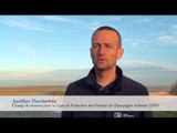 Interview d'Aurélien Deschartres, chargé de mission pour la Ligue de Protection des Oiseaux.