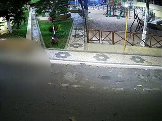 Prisão preventiva de suspeito de matar cão a pauladas será solicitada; veja vídeo