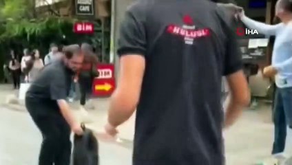 Download Video: Kadıköy'de yavrusunu korumak isteyen anne karga esnafa zor anlar yaşattı! Çareyi motosiklet kaskı takmakta buldu