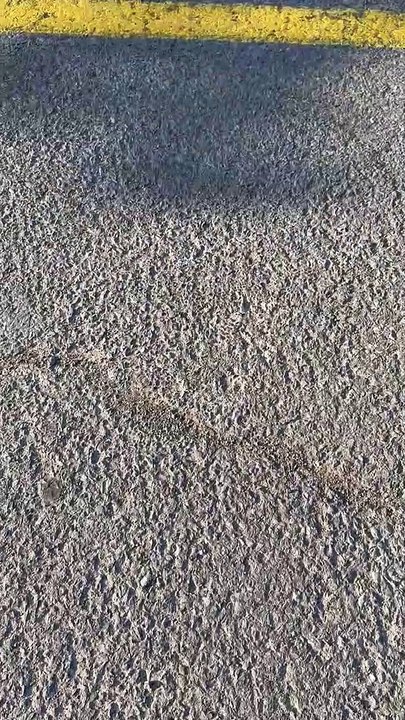 Tour du rassemblement (Le Reflet - Guillaume Gervais)