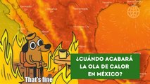 ¿Cuándo terminará la ola de calor en México?
