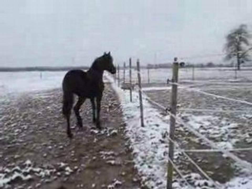 TINA ET LA NEIGE